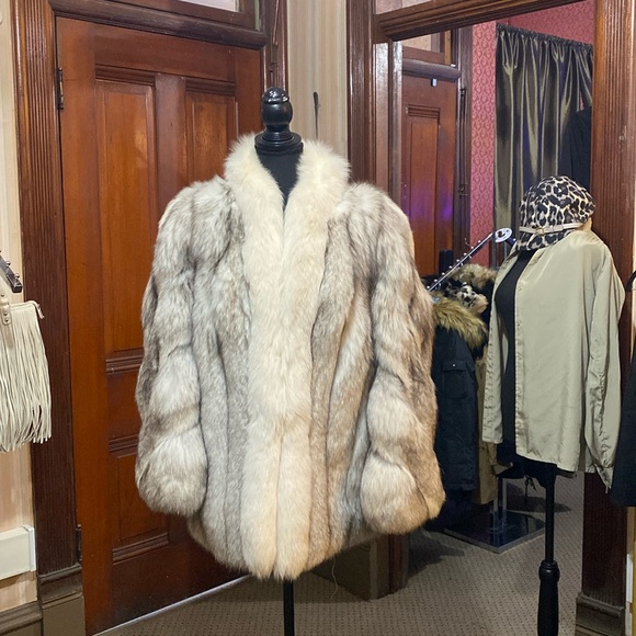 Saga Fox - Picture 1 of 5